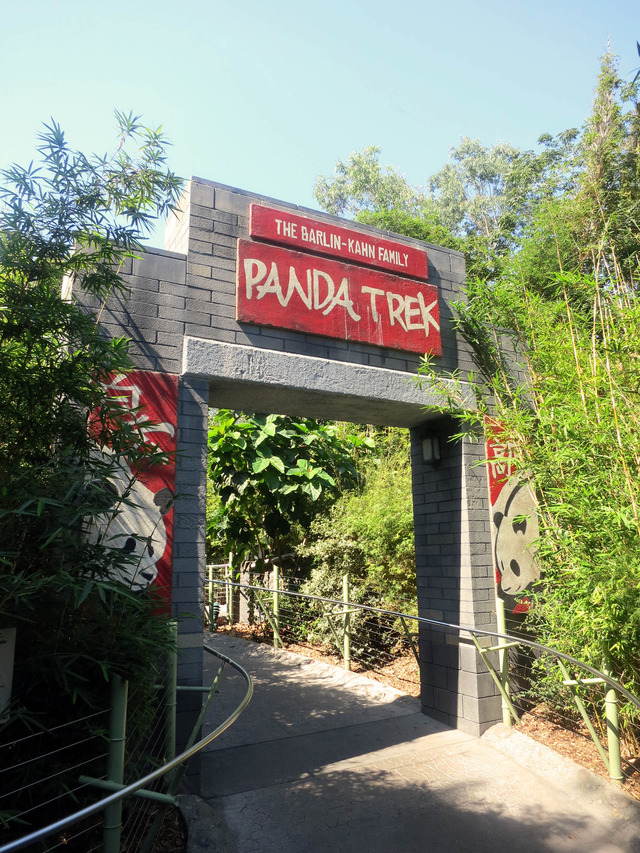 Panda Trek 2_edit