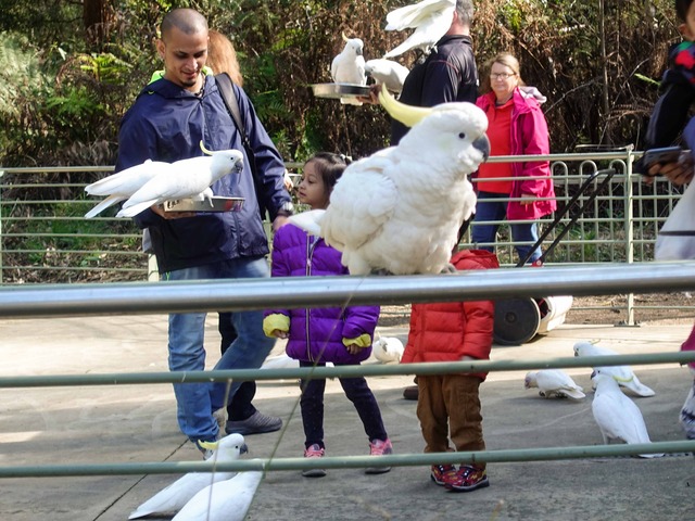 Bird Feeding & Viewing Area 5_edit