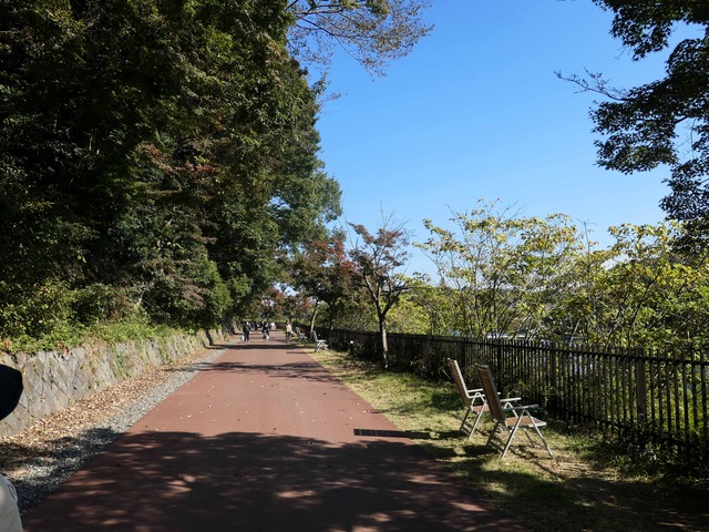 おさびし山エリア 3_edit