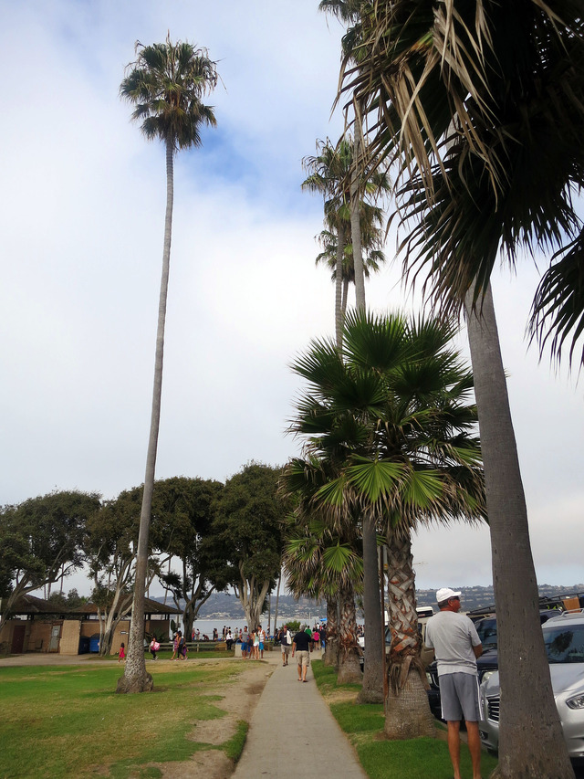 Coast Blvd 4_edit