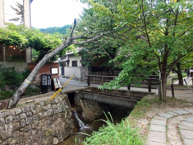 哲学の道 20_edit