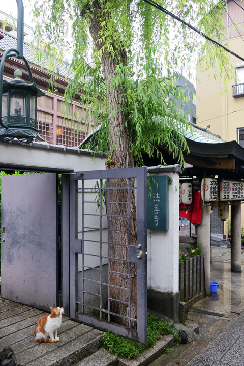 法善寺 4_edit