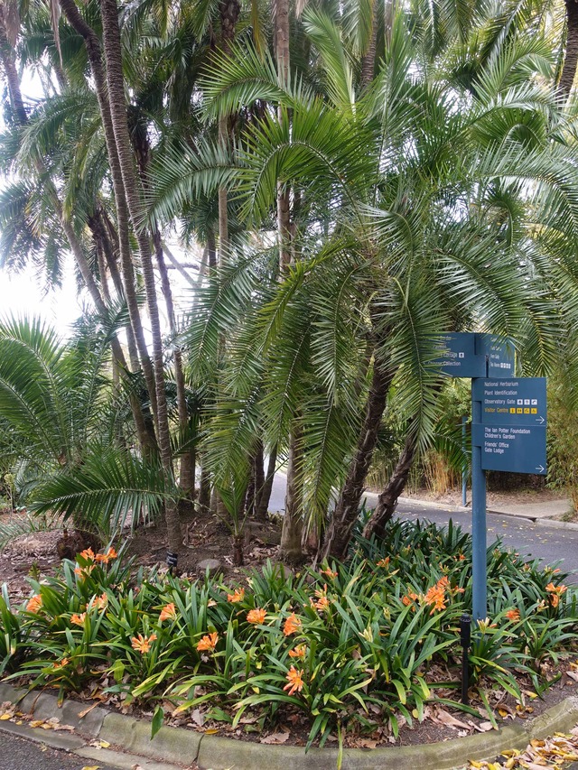 王立植物園 17_edit