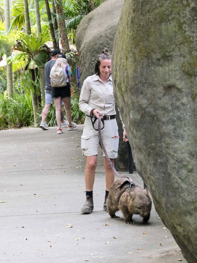 Wombat Walk 51_edit
