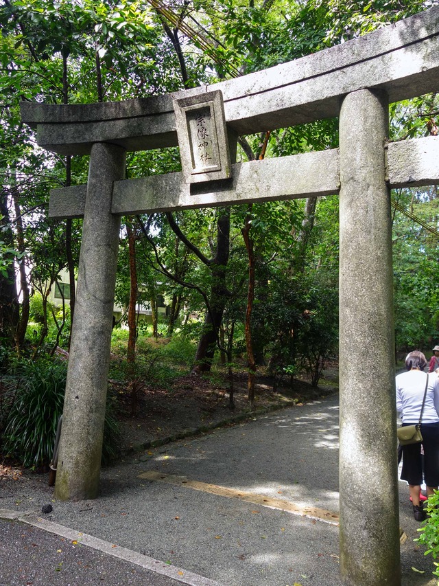 鎮守の杜の道の鳥居 2_edit