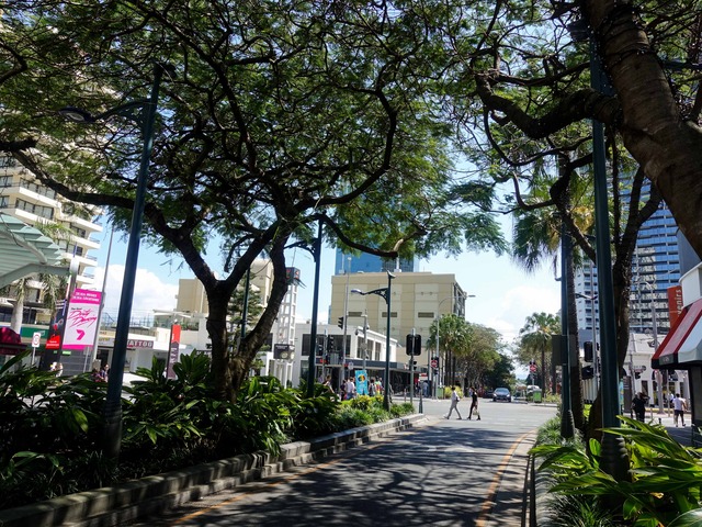 Cavill Ave 3_edit