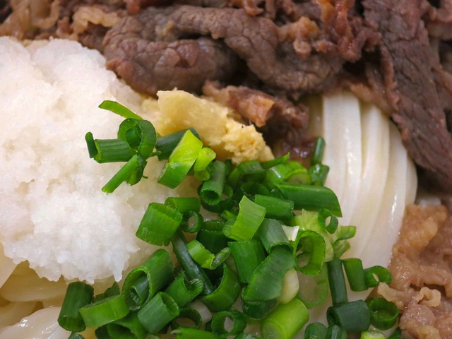 肉おろしうどん 3_edit