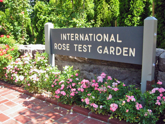 Rose Garden 12_edit