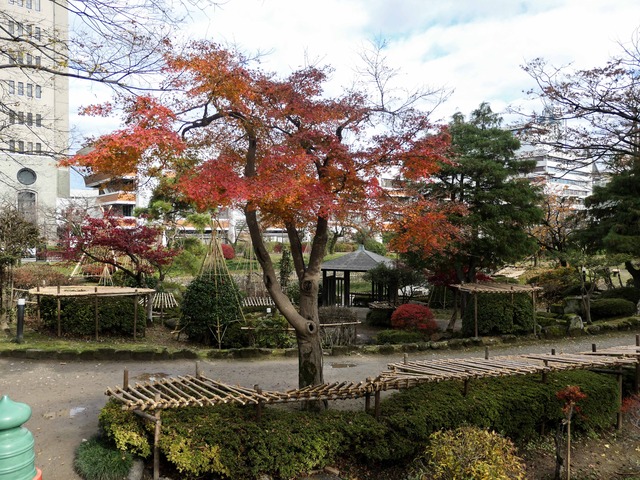 富山城址公園 6_edit