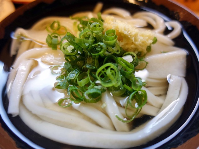 冷かけうどん 2_edit