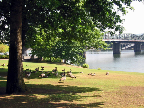 Tom McCall waterfront park 2_edit