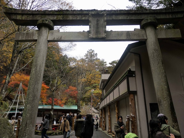 金櫻神社の鳥居_edit