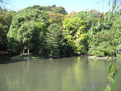 鶴岡八幡宮_平家池 2