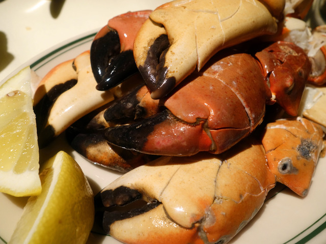 Pacific Rock Crab Claws 3_edit