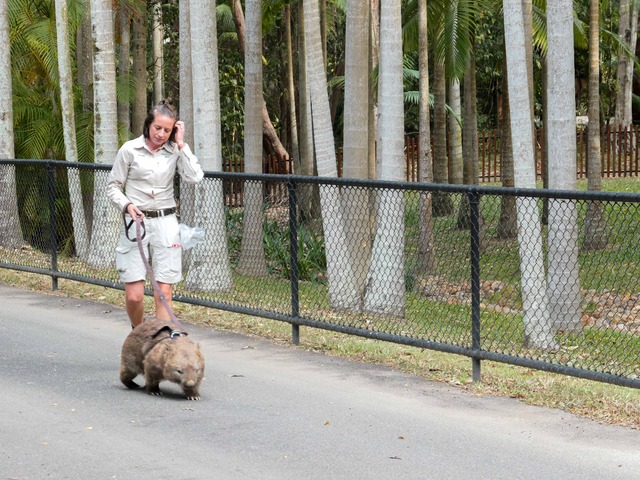 Wombat Walk 58_edit