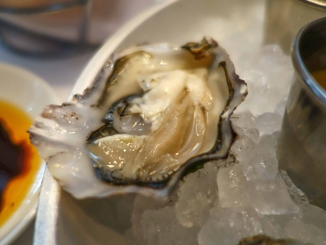 Fresh Oysters 4_edit