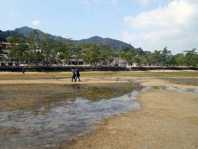 州浜 5_edit