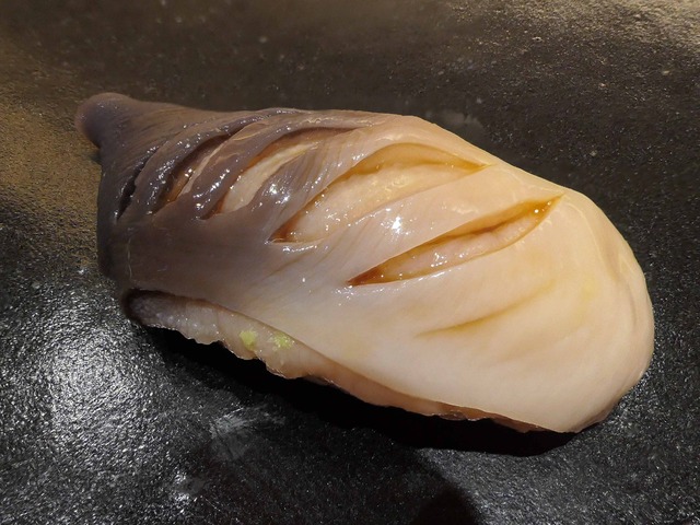 ホッキガイ_edit