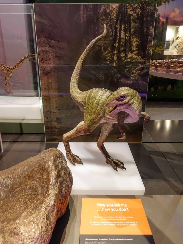 Qantassaurus_edit
