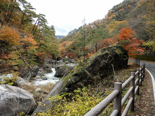 渓谷沿道 36_edit
