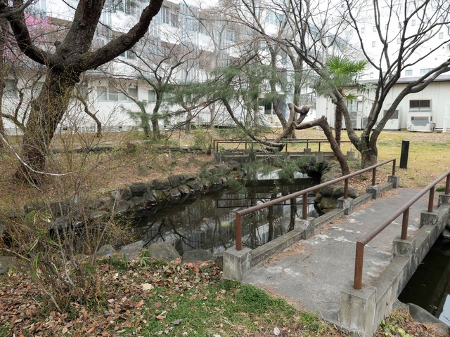 東北大学医学部 5_edit