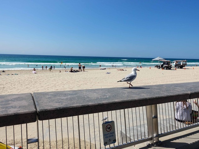 Surfers Paradise Beach 8_edit