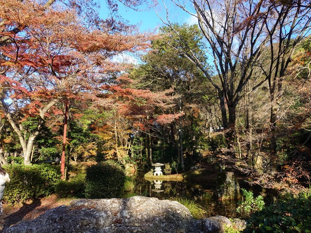 岐阜公園 4_edit