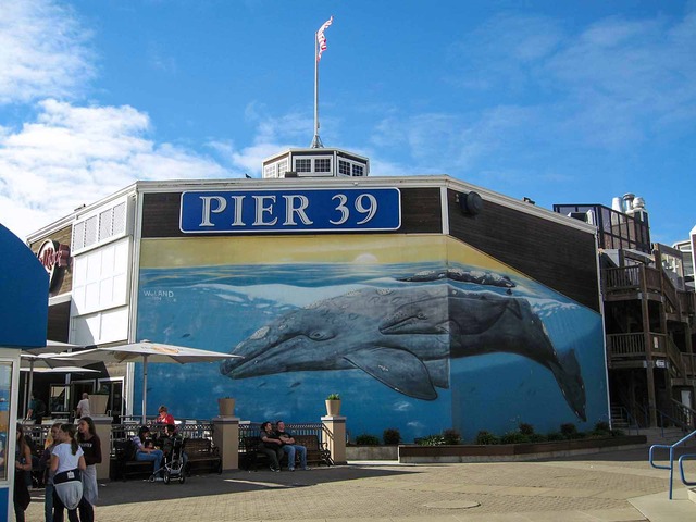 Pier 39_2_edit