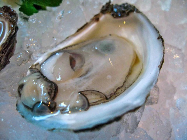 Oyster Sampler 2_edit