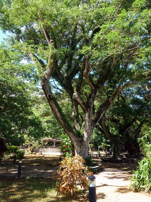 ラッテストーン公園 5_edit