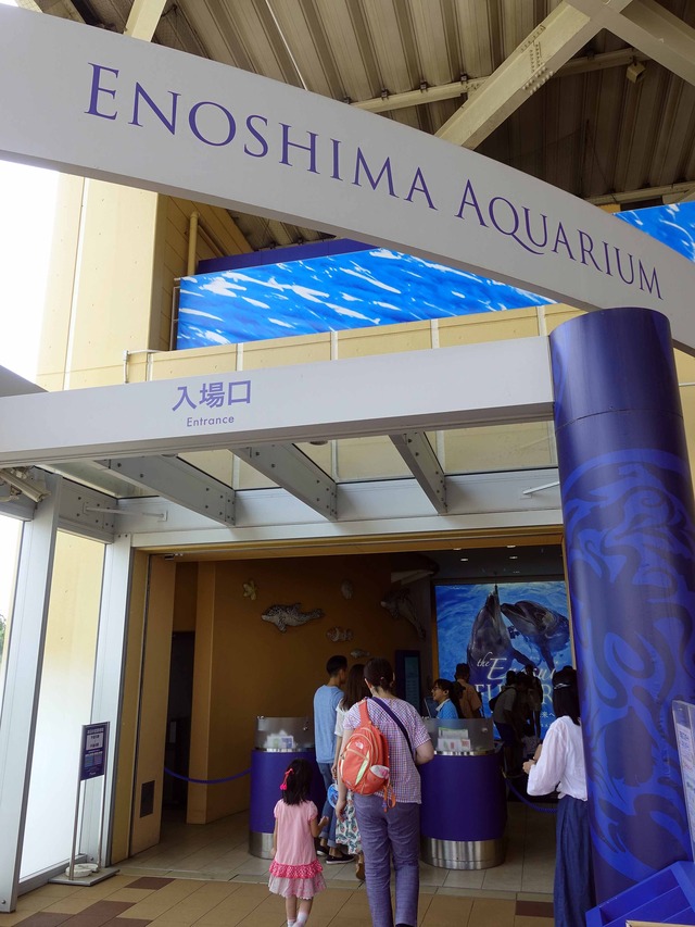 新江ノ島水族館 5_edit