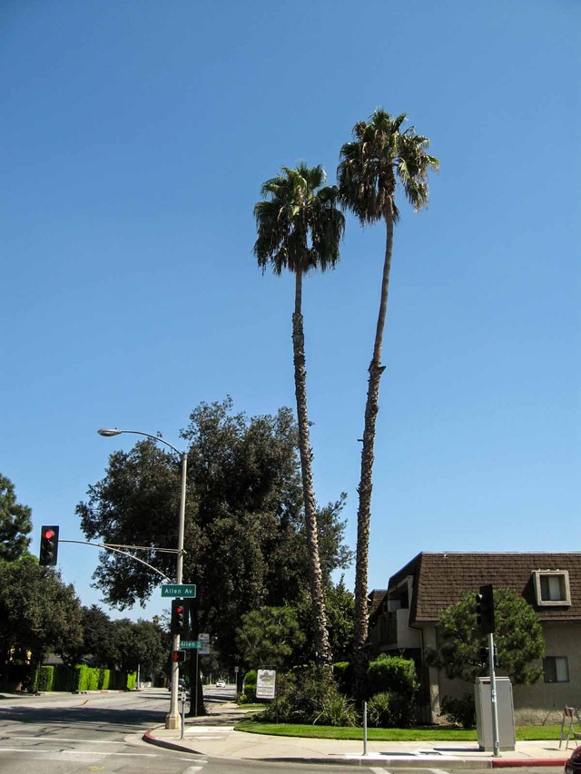 Del Mar Blvd & Allen Ave_edit