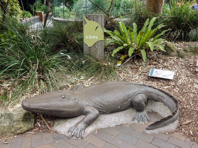 Ancient Amphibian_edit