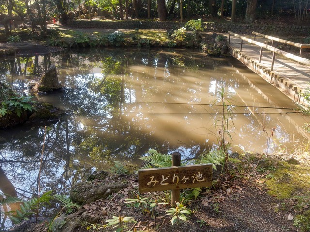 みどりヶ池 3_edit
