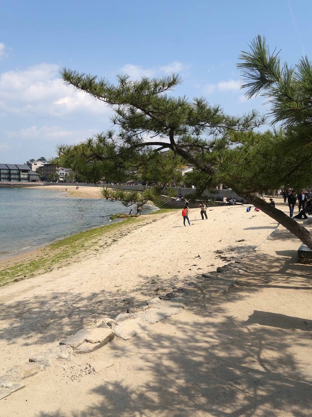御笠浜 2_edit