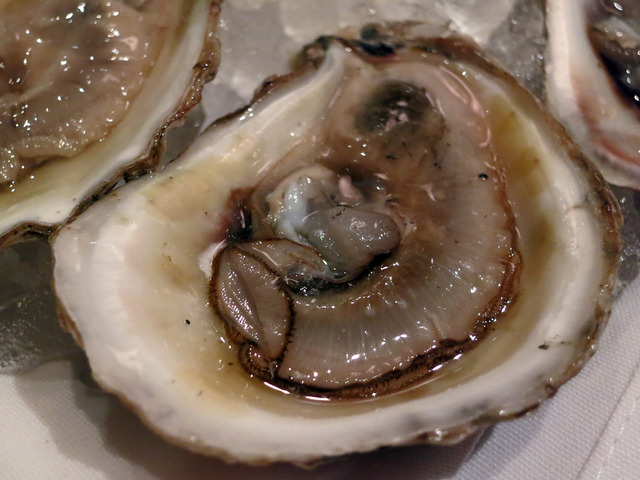 Blue Point Oysters 2_edit
