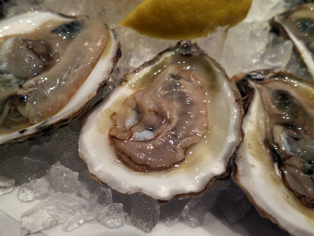 Blue Point Oysters 6_edit