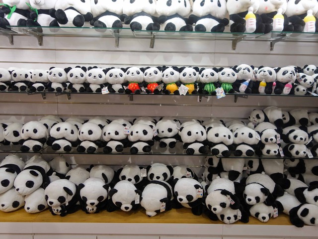 PANDA SHOP 2_edit