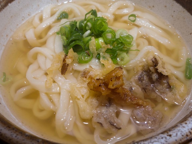 かき揚げうどん 7_edit