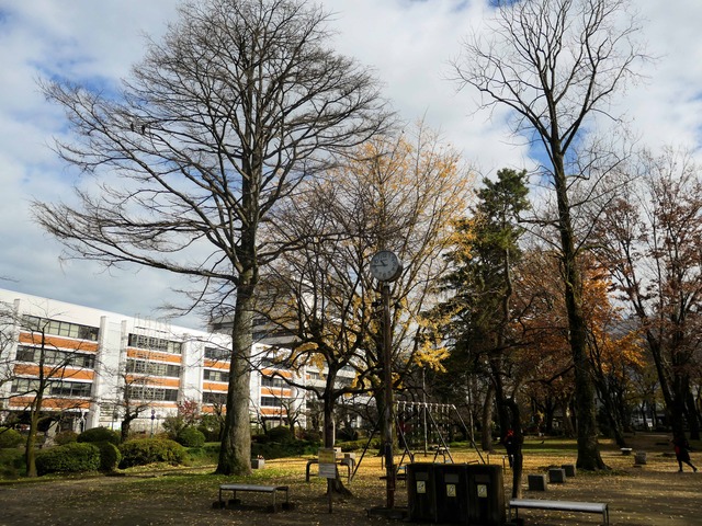 富山城址公園 11_edit