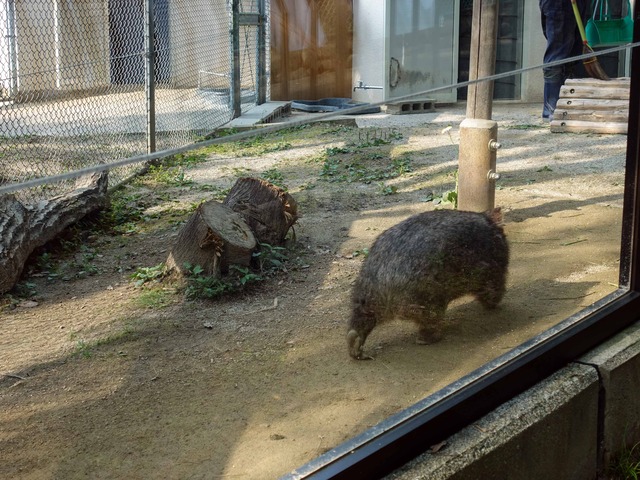 コウ 14_edit