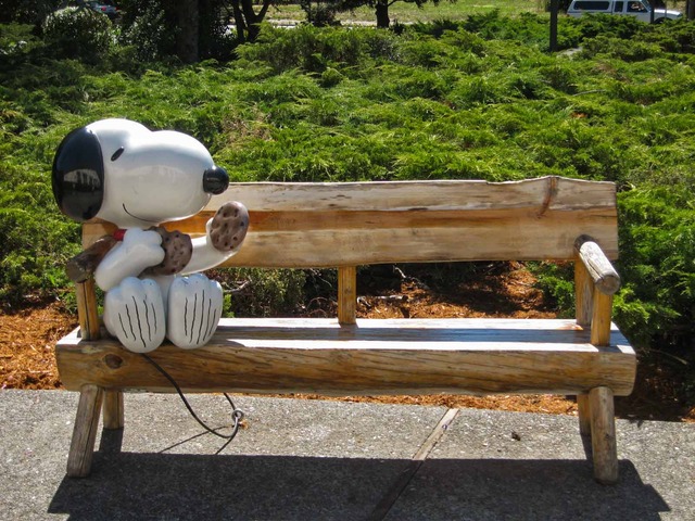 Memorial Bench_edit