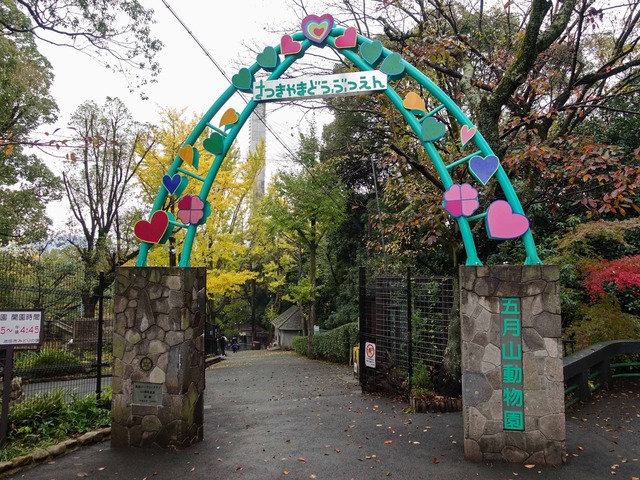 五月山動物園 2_edit