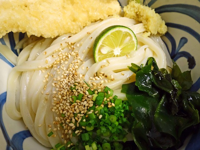 阿波尾鶏ささみ天すだちしょうゆうどん 4_edit