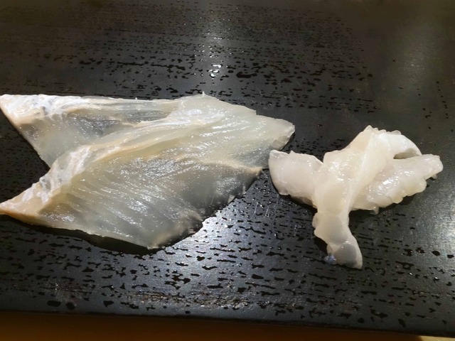 ヒラメ 2_edit