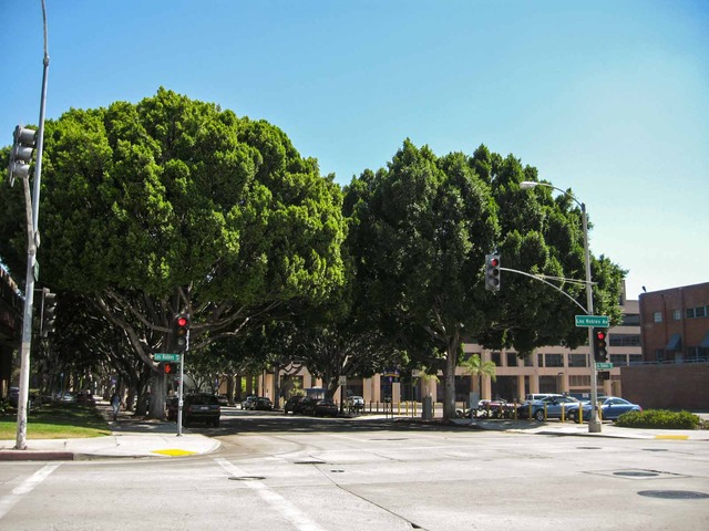 Green St & Los Robles Ave_edit