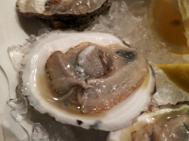Blue Point Oysters 4_edit