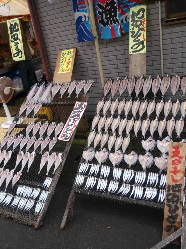 地魚ひもの_edit