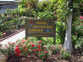 Royal Rose Garden_edit