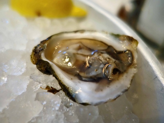 Fresh Oysters 8_edit